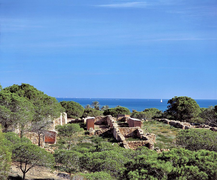 Hotel Mediterraneo Guardamar del Segura Bagian luar foto